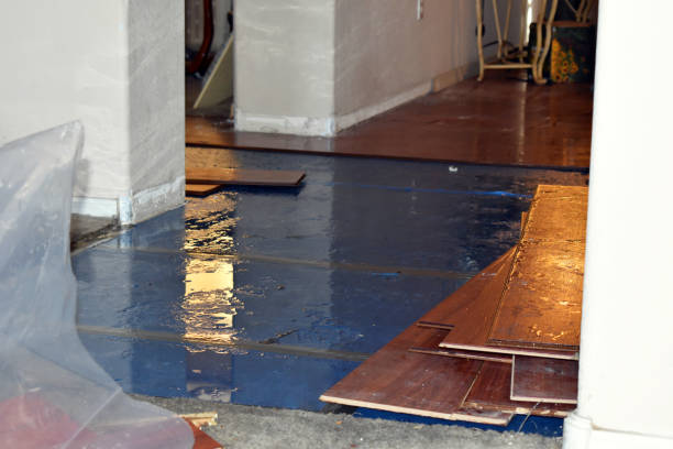 Professional Flood Damage Repair technician working in Steward, IL